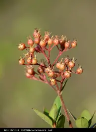 星空体育-Ming在篮网比赛中大胜穆古鲁扎连续十二场比赛得分超过晋级之后，转会期拉齐奥调整名单以备德国杯的简单介绍